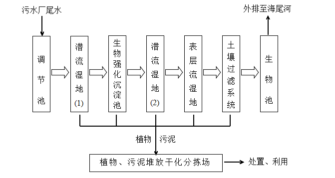 狮子会 - 打造绿色游戏娱乐