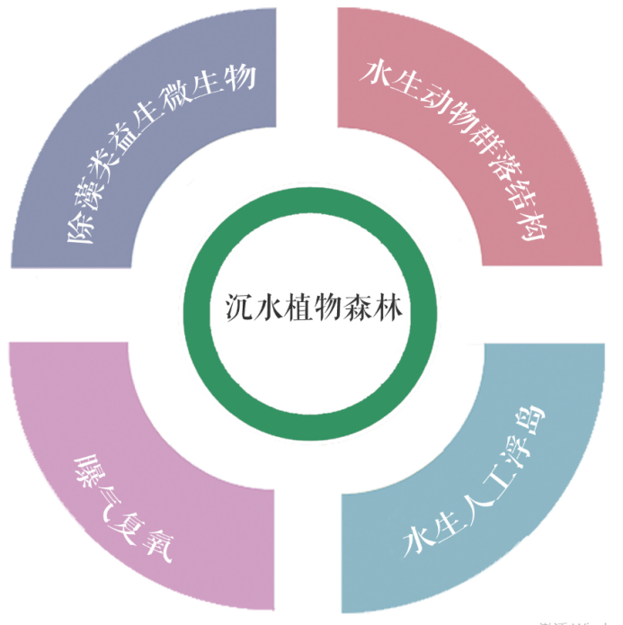 狮子会 - 打造绿色游戏娱乐