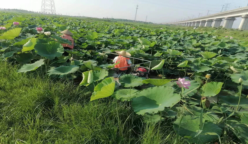 狮子会 - 打造绿色游戏娱乐